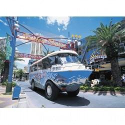 相片來源:昆士蘭旅遊局 黃金海岸